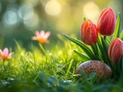 Wielkanoc, Dekoracja, Pisanka, Kwiaty, Czerwone, Tulipany